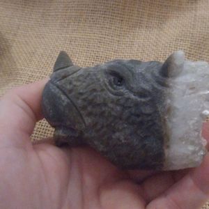 Rino stone carved crystal.